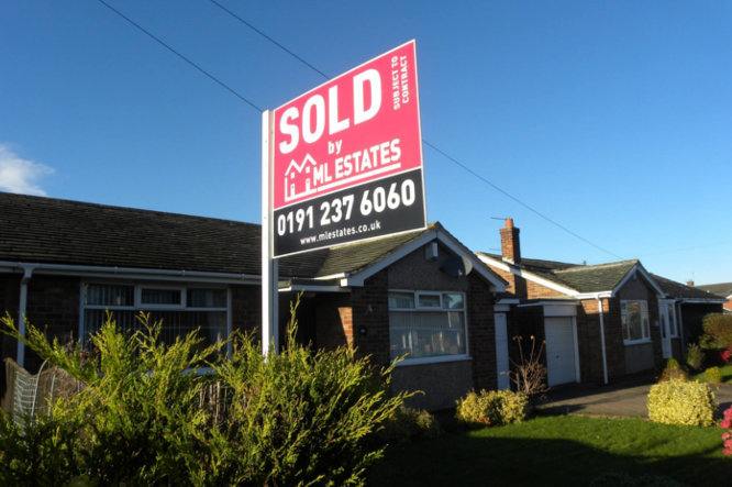 meet the team sold ML estates